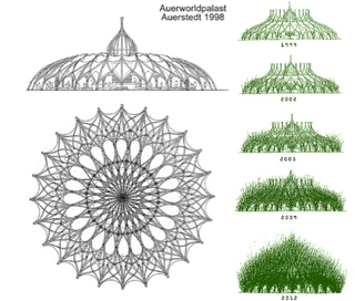 Illustration for article titled Behold These Incredible Works Of Architecture Made Out Of Living Trees